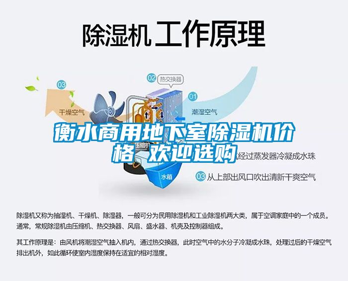 衡水商用地下室草莓视频APP在线观看价格 欢迎选购