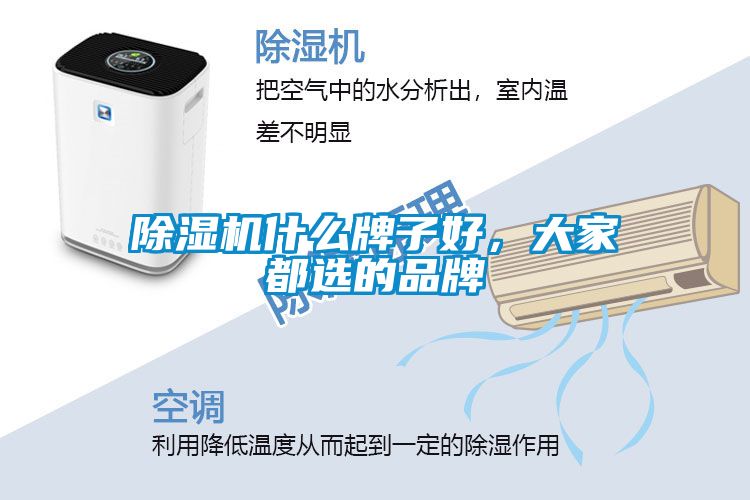 草莓视频APP在线观看什么牌子好，大家都选的品牌