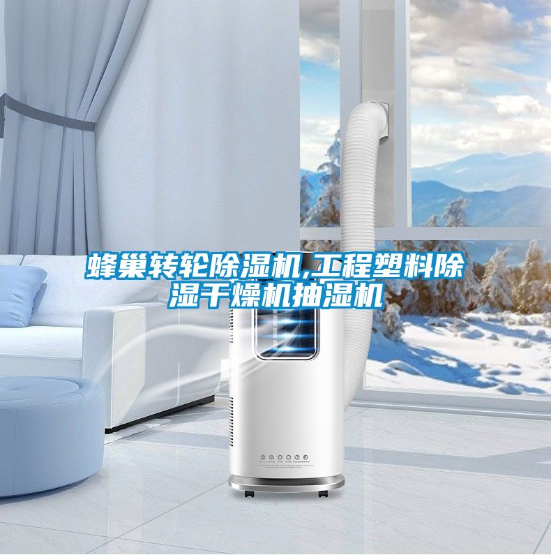蜂巢转轮草莓视频APP在线观看,工程塑料除湿干燥机抽湿机