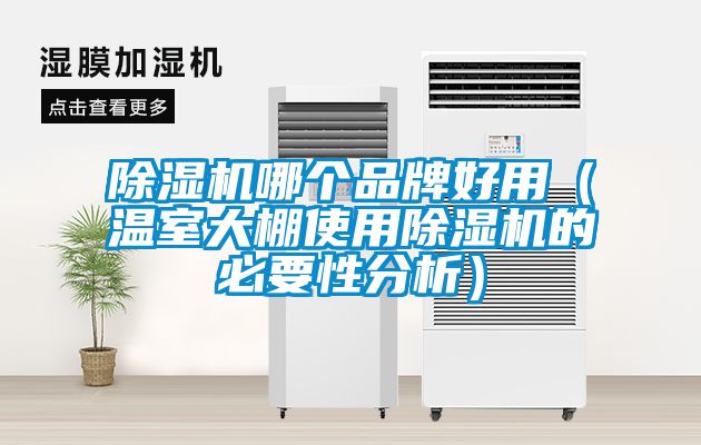 草莓视频APP在线观看哪个品牌好用（温室大棚使用草莓视频APP在线观看的必要性分析）