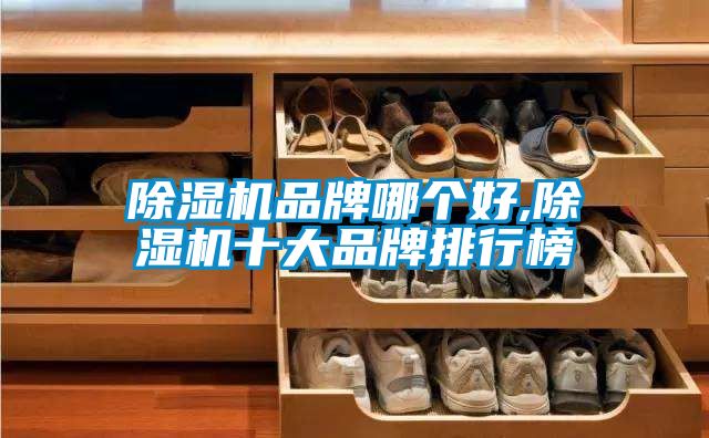 草莓视频APP在线观看品牌哪个好,草莓视频APP在线观看十大品牌排行榜