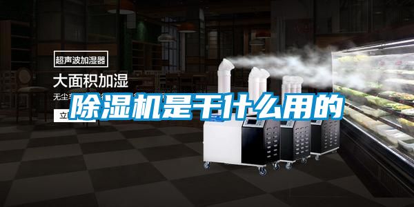 草莓视频APP在线观看是干什么用的