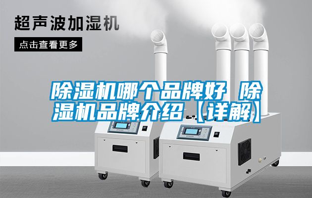 草莓视频APP在线观看哪个品牌好 草莓视频APP在线观看品牌介绍【详解】