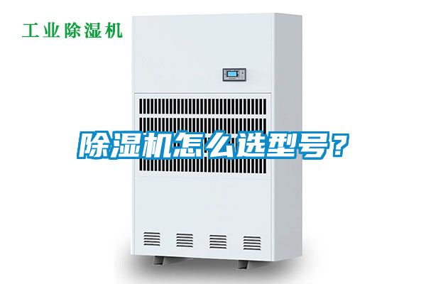 草莓视频APP在线观看怎么选型号？