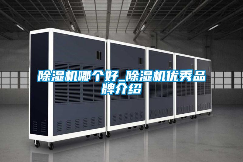 草莓视频APP在线观看哪个好_草莓视频APP在线观看优秀品牌介绍