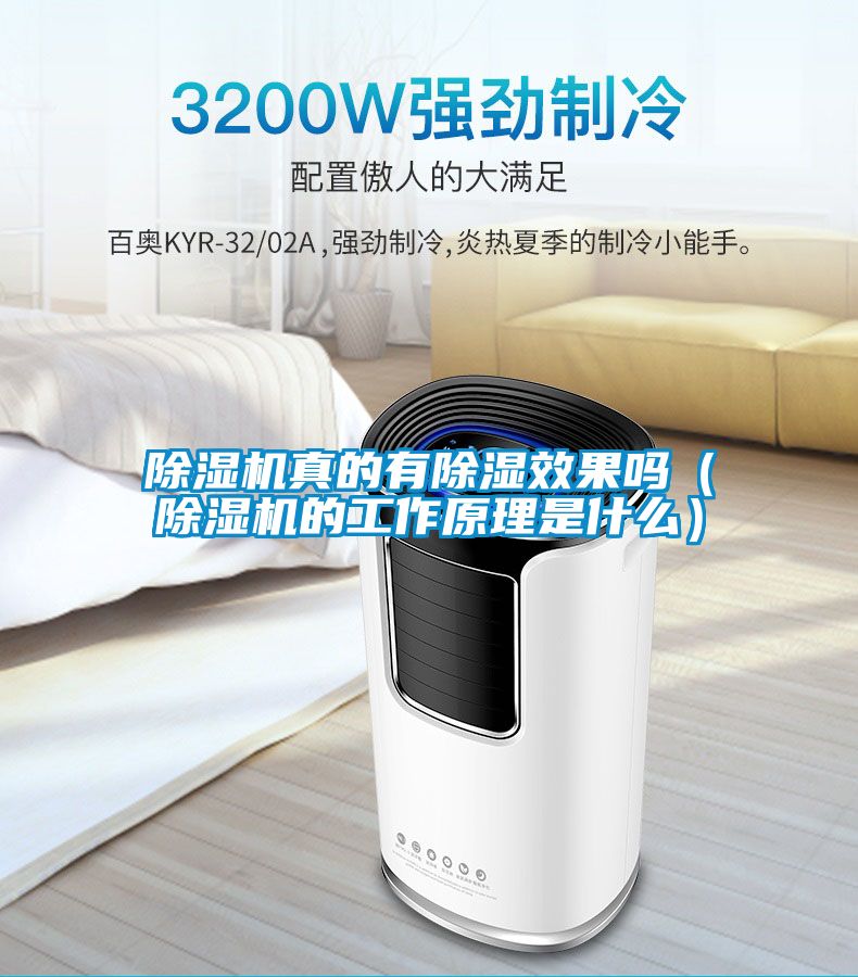 草莓视频APP在线观看真的有除湿效果吗（草莓视频APP在线观看的工作原理是什么）