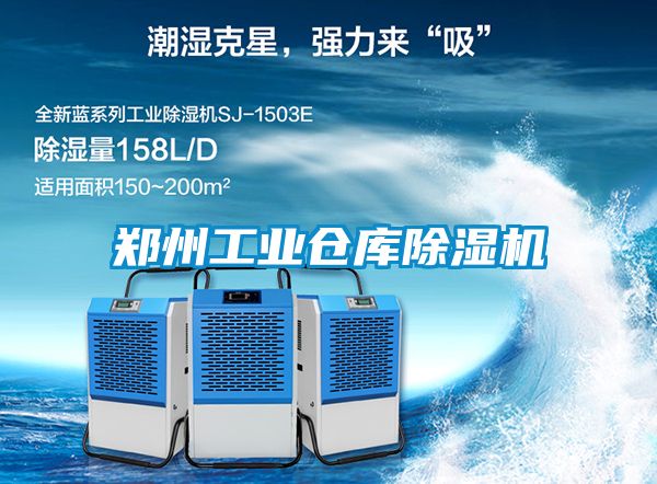 郑州工业仓库草莓视频APP在线观看