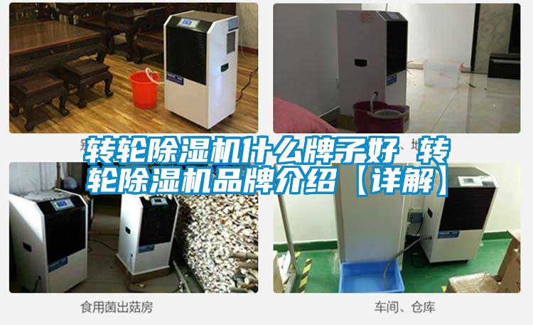 转轮草莓视频APP在线观看什么牌子好 转轮草莓视频APP在线观看品牌介绍【详解】