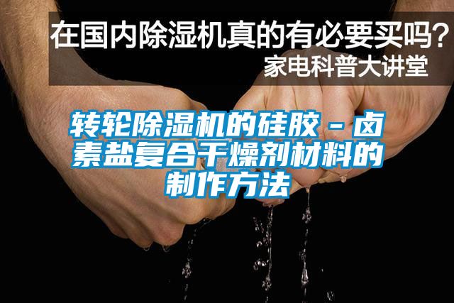 转轮草莓视频APP在线观看的硅胶－卤素盐复合干燥剂材料的制作方法