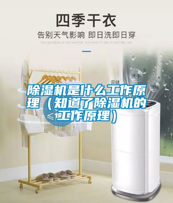 草莓视频APP在线观看是什么工作原理（知道了草莓视频APP在线观看的工作原理）