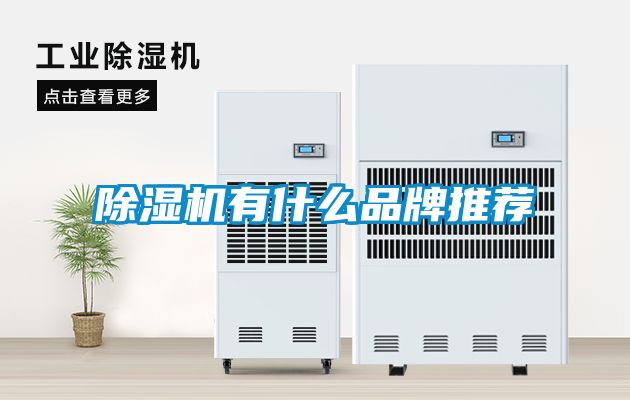草莓视频APP在线观看有什么品牌推荐