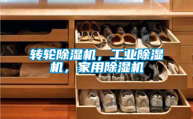 转轮草莓视频APP在线观看，工业草莓视频APP在线观看，家用草莓视频APP在线观看
