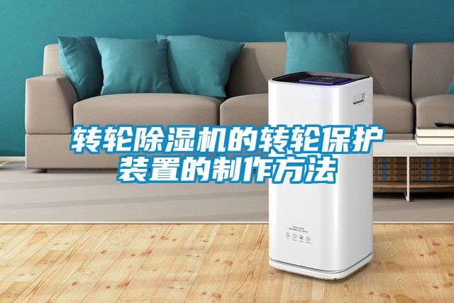 转轮草莓视频APP在线观看的转轮保护装置的制作方法