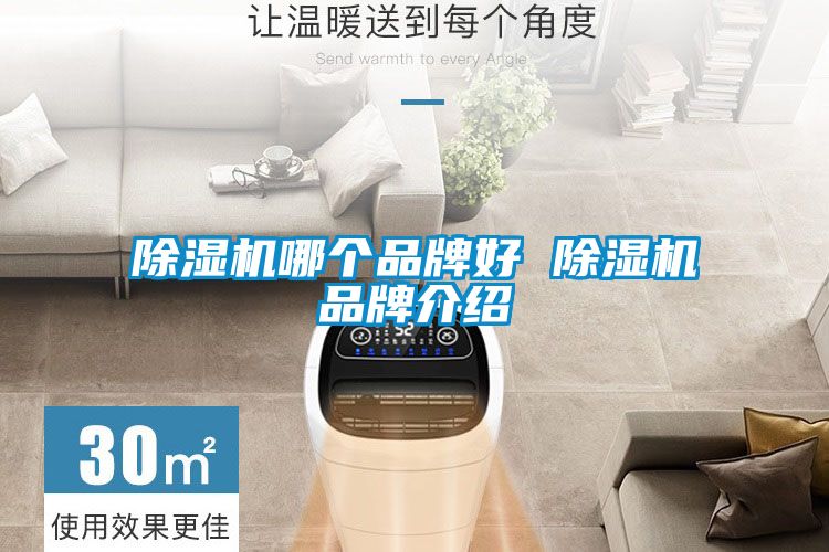 草莓视频APP在线观看哪个品牌好 草莓视频APP在线观看品牌介绍