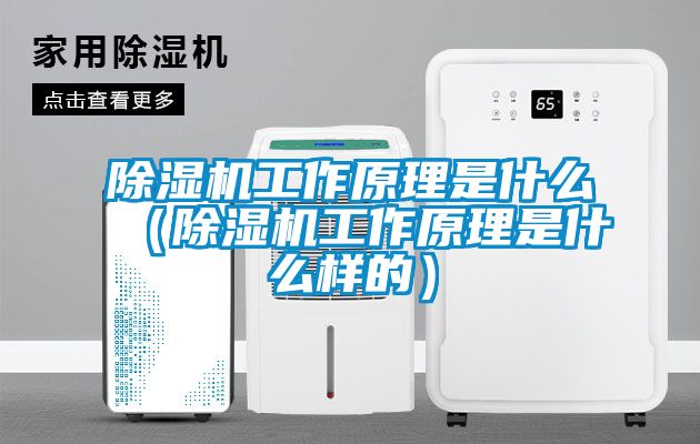 草莓视频APP在线观看工作原理是什么（草莓视频APP在线观看工作原理是什么样的）