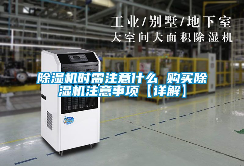 草莓视频APP在线观看时需注意什么 购买草莓视频APP在线观看注意事项【详解】