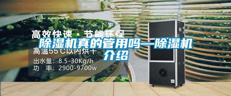 草莓视频APP在线观看真的管用吗—草莓视频APP在线观看介绍