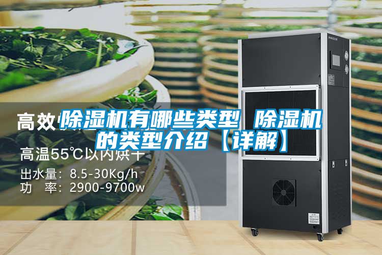 草莓视频APP在线观看有哪些类型 草莓视频APP在线观看的类型介绍【详解】