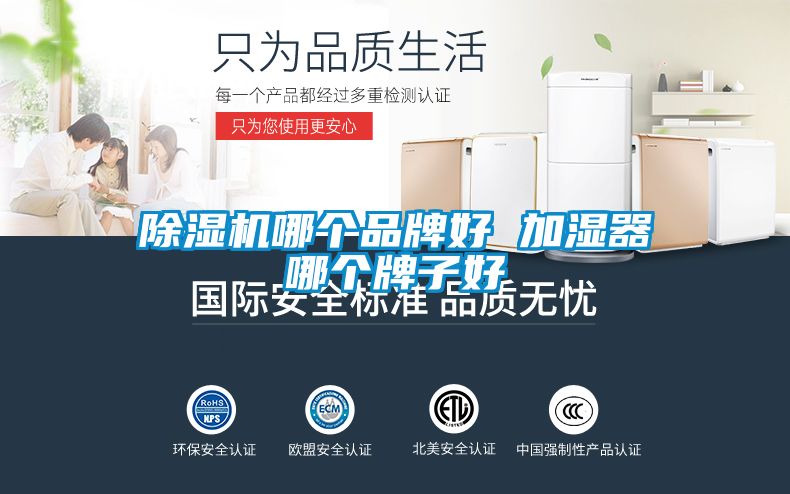 草莓视频APP在线观看哪个品牌好 加湿器哪个牌子好