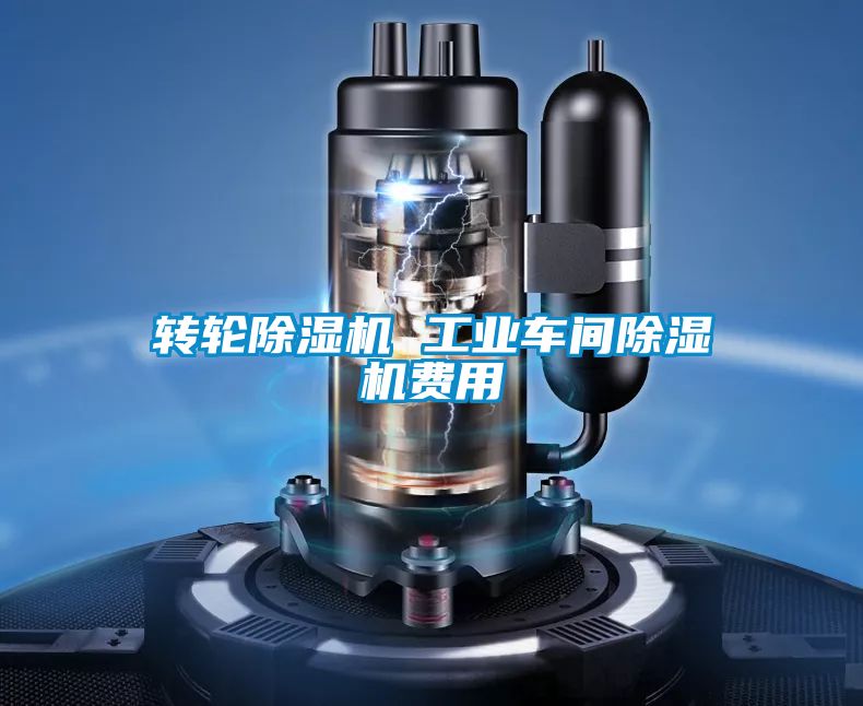 转轮草莓视频APP在线观看 工业车间草莓视频APP在线观看费用