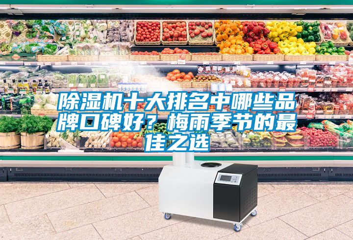 草莓视频APP在线观看十大排名中哪些品牌口碑好？梅雨季节的最佳之选