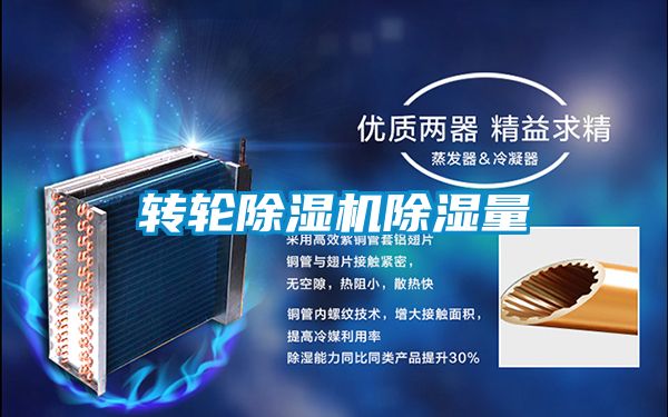 转轮草莓视频APP在线观看除湿量