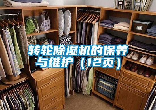 转轮草莓视频APP在线观看的保养与维护（12页）