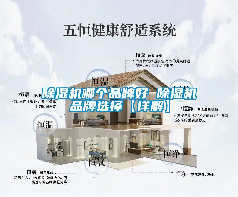 草莓视频APP在线观看哪个品牌好 草莓视频APP在线观看品牌选择【详解】