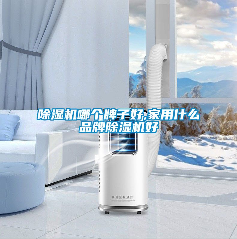 草莓视频APP在线观看哪个牌子好,家用什么品牌草莓视频APP在线观看好