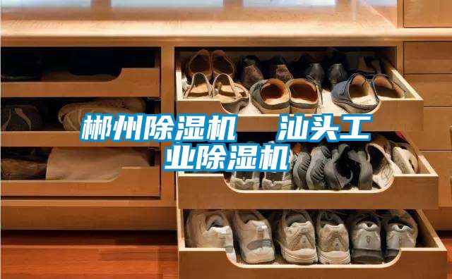 郴州草莓视频APP在线观看  汕头工业草莓视频APP在线观看