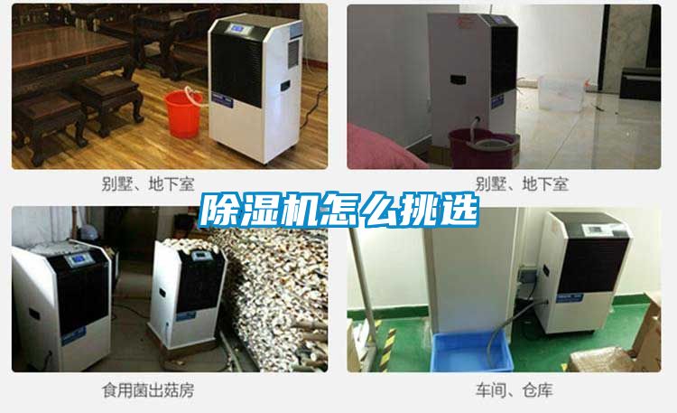 草莓视频APP在线观看怎么挑选
