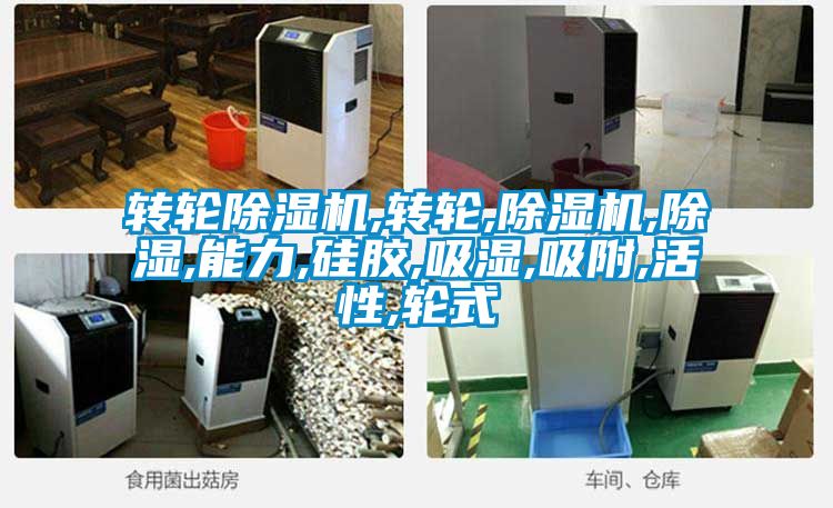转轮草莓视频APP在线观看,转轮,草莓视频APP在线观看,除湿,能力,硅胶,吸湿,吸附,活性,轮式
