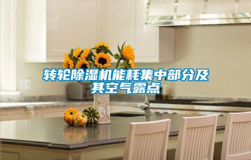 转轮草莓视频APP在线观看能耗集中部分及其空气露点