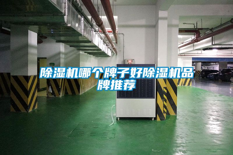 草莓视频APP在线观看哪个牌子好草莓视频APP在线观看品牌推荐