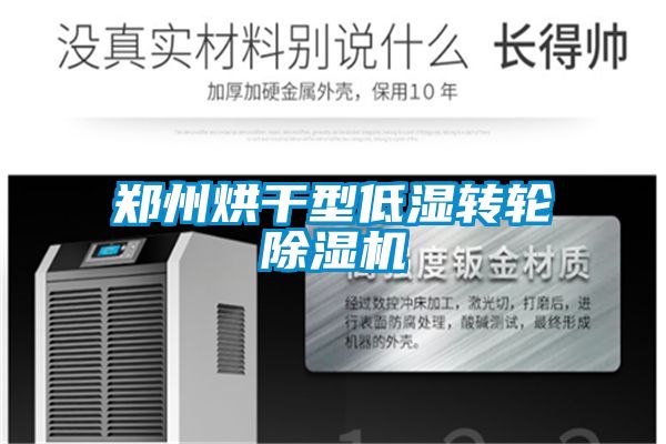 郑州烘干型低湿转轮草莓视频APP在线观看