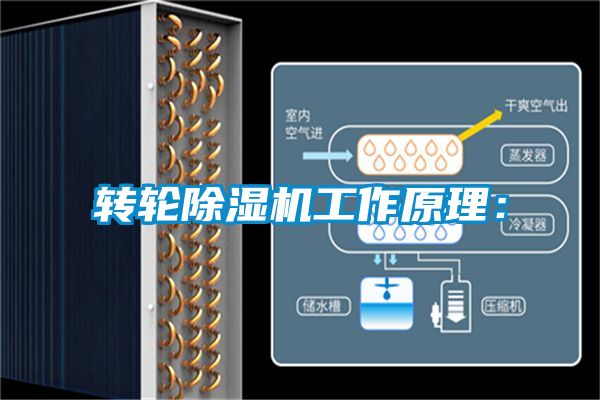 转轮草莓视频APP在线观看工作原理：