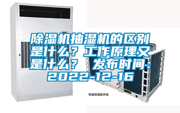 草莓视频APP在线观看抽湿机的区别是什么？工作原理又是什么？ 发布时间：2022-12-16