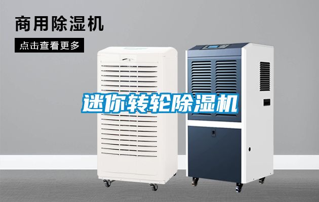 迷你转轮草莓视频APP在线观看