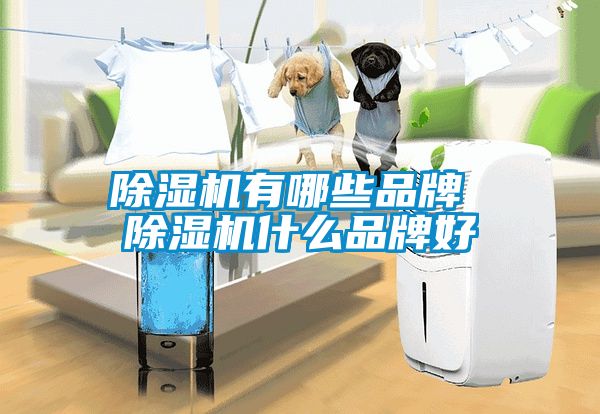 草莓视频APP在线观看有哪些品牌 草莓视频APP在线观看什么品牌好