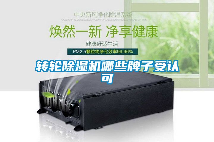 转轮草莓视频APP在线观看哪些牌子受认可