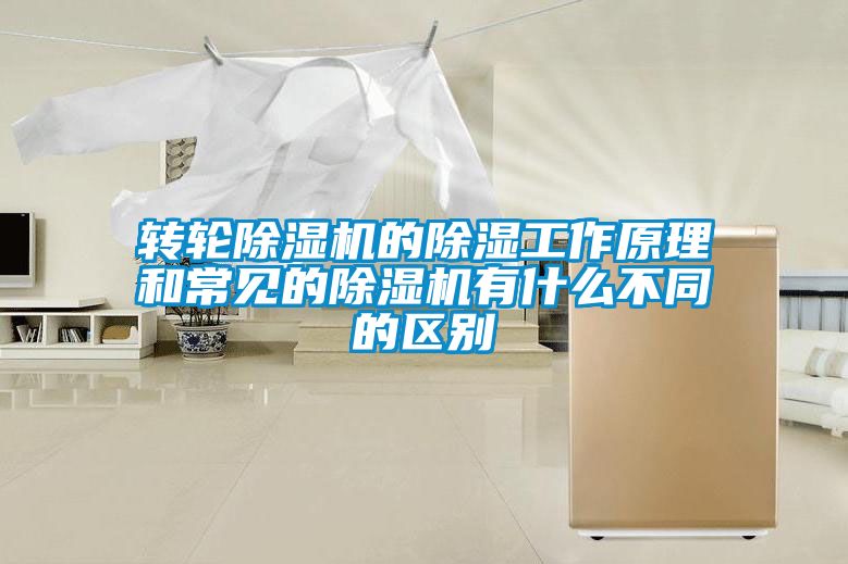 转轮草莓视频APP在线观看的除湿工作原理和常见的草莓视频APP在线观看有什么不同的区别