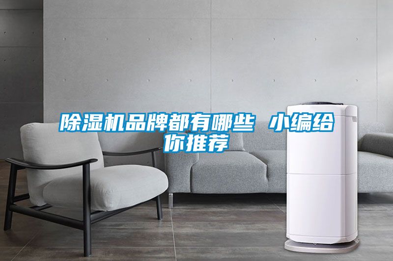 草莓视频APP在线观看品牌都有哪些 小编给你推荐