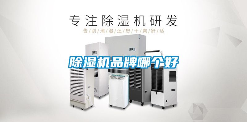 草莓视频APP在线观看品牌哪个好