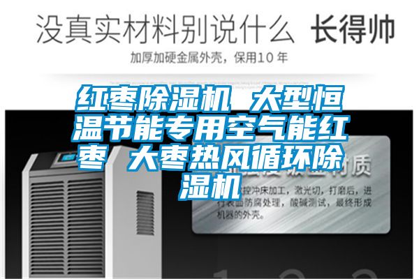 红枣草莓视频APP在线观看 大型恒温节能专用空气能红枣 大枣热风循环草莓视频APP在线观看