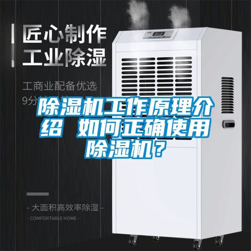 草莓视频APP在线观看工作原理介绍 如何正确使用草莓视频APP在线观看？