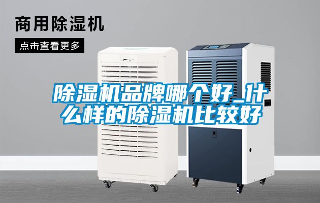草莓视频APP在线观看品牌哪个好_什么样的草莓视频APP在线观看比较好