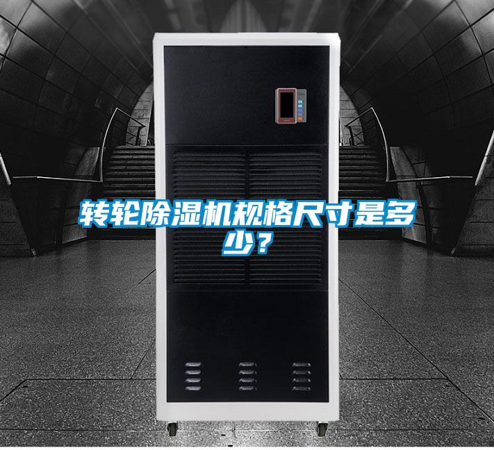 转轮草莓视频APP在线观看规格尺寸是多少？