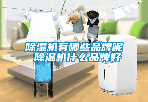 草莓视频APP在线观看有哪些品牌呢 草莓视频APP在线观看什么品牌好
