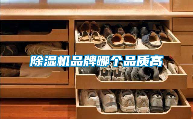 草莓视频APP在线观看品牌哪个品质高