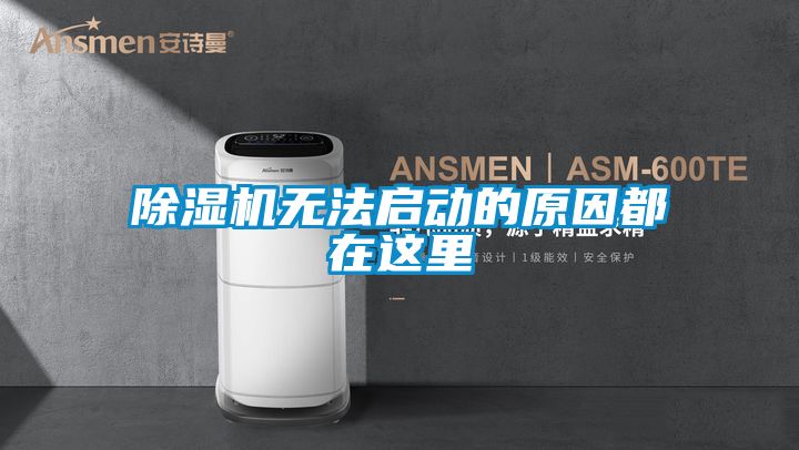草莓视频APP在线观看无法启动的原因都在这里